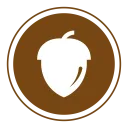 Schalenfrüchte (Nüsse)